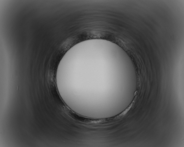 X0000086010178200703230919