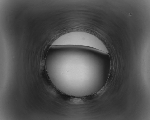 X0000086010180200703230919