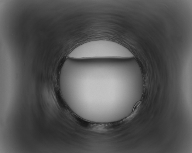 X0000086010182200703230919