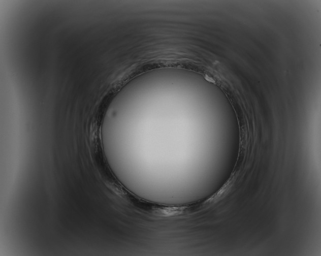 X0000086010184200703230919