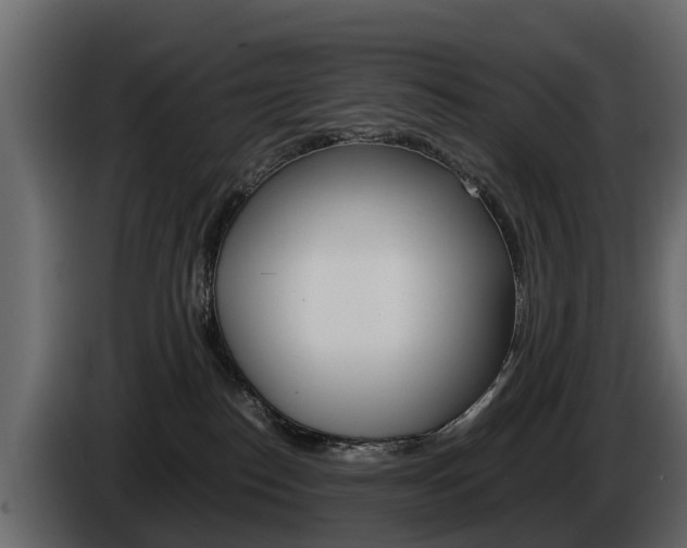 X0000086010186200703230919