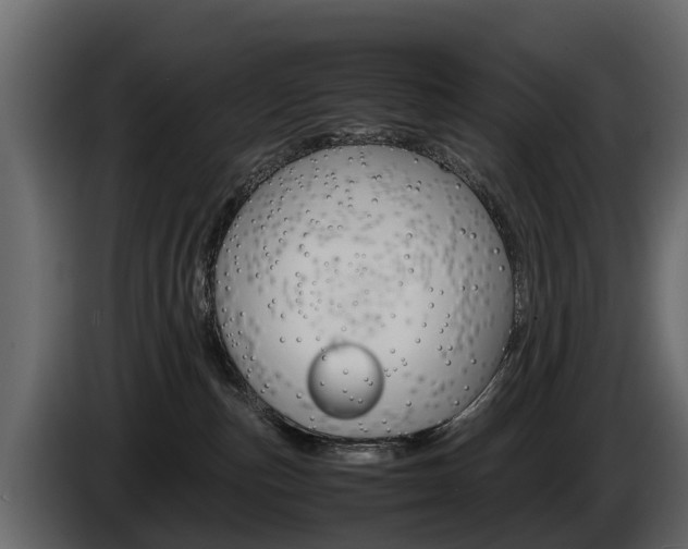 X0000086010187200703230919