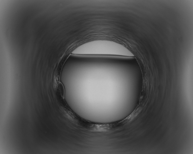 X0000086010188200703230919