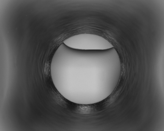 X0000086010189200703230919