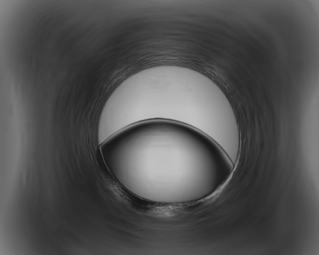 X0000086010190200703230919
