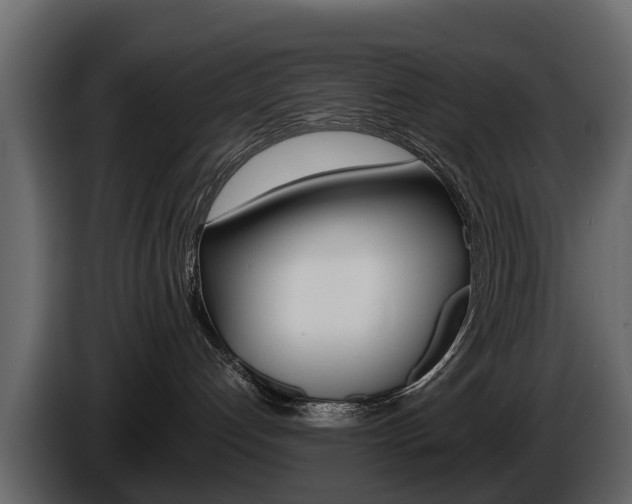 X0000086010192200703230919