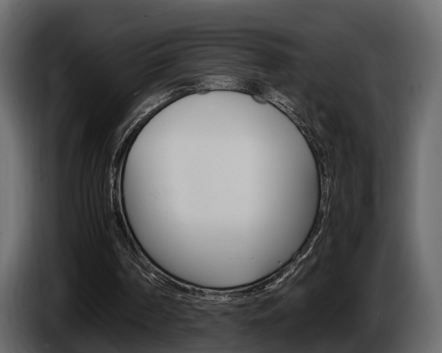 X0000086010194200703230918