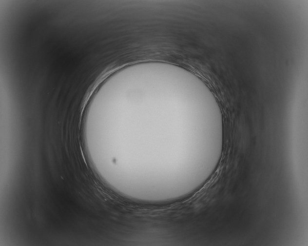 X0000086010195200703230918