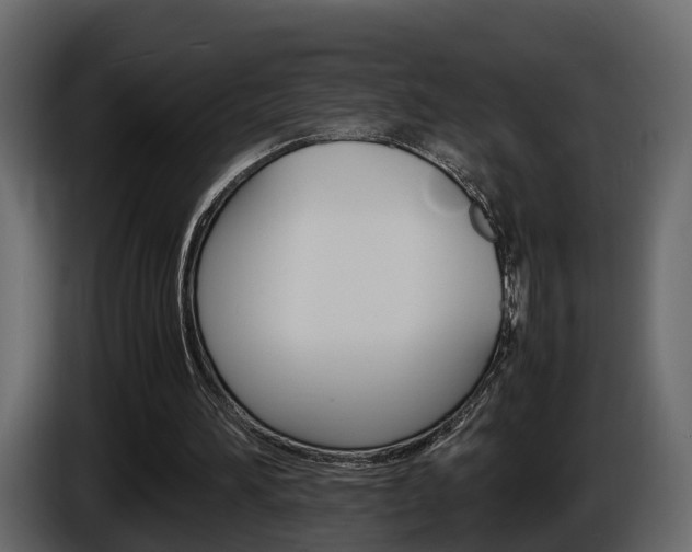 X0000086010196200703230918