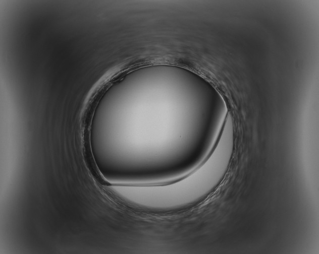 X0000086010197200703230918