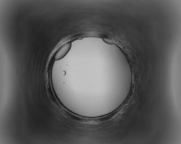 X0000086010198200703230918