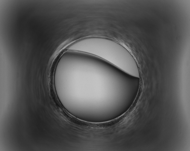 X0000086010199200703230918