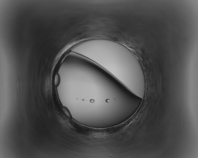 X0000086010200200703230918