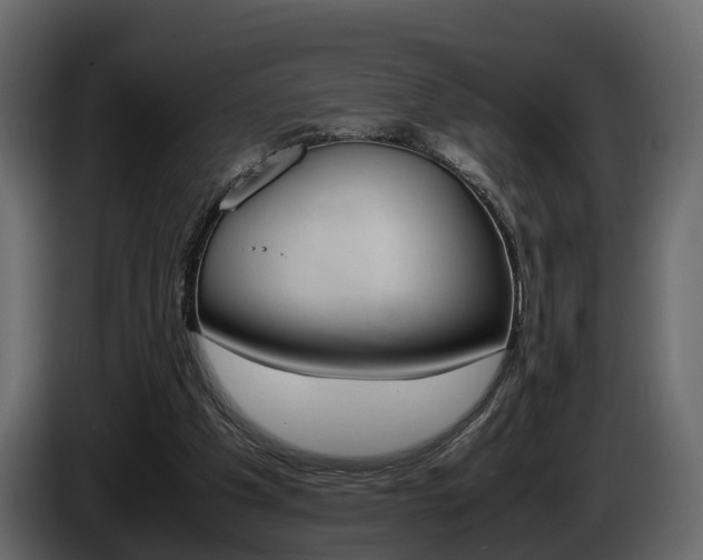 X0000086010201200703230918