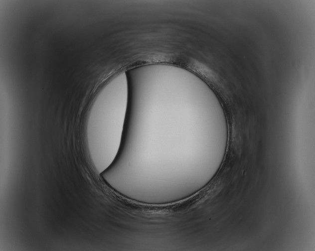 X0000086010202200703230918