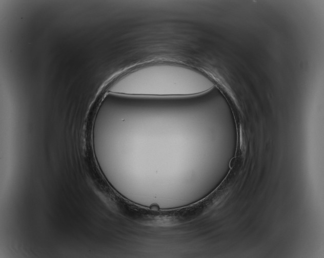 X0000086010204200703230918