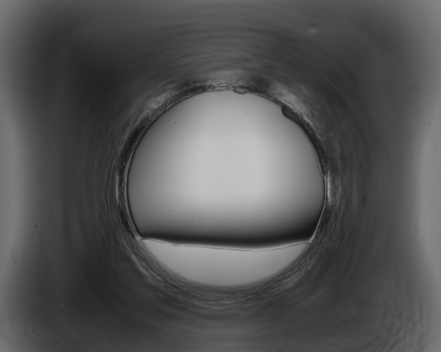 X0000086010205200703230918