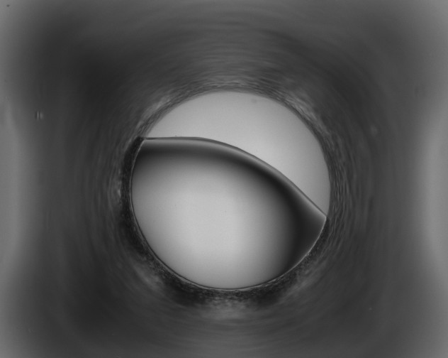 X0000086010207200703230918
