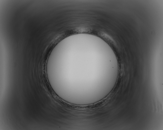 X0000086010210200703230918