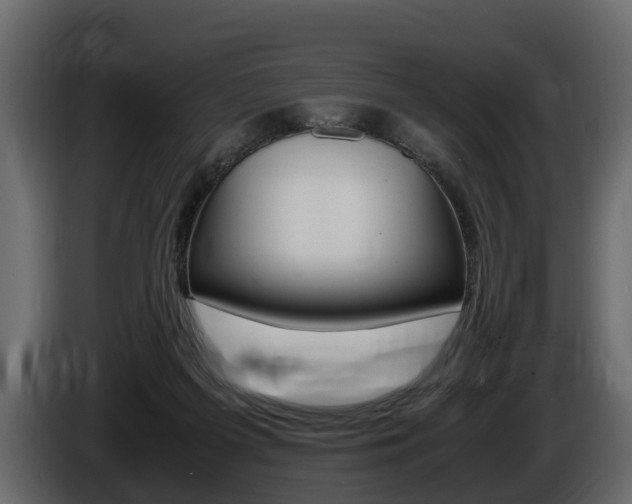X0000086010215200703230918