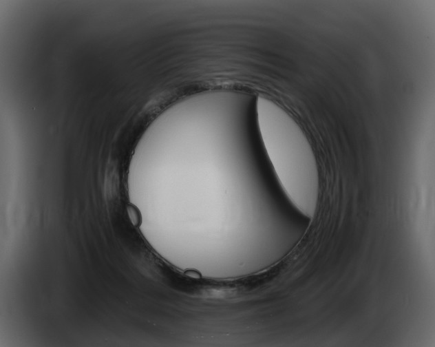 X0000086010220200703230918