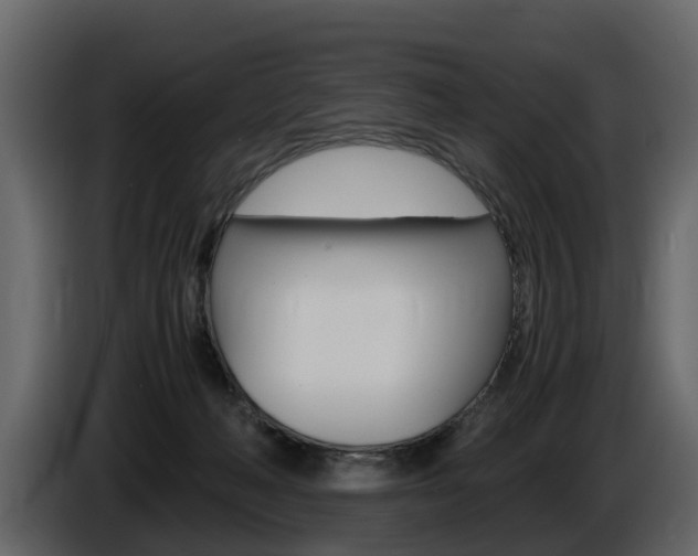 X0000086010222200703230918