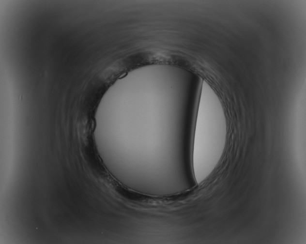 X0000086010223200703230918