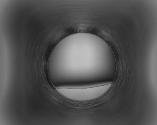 X0000086010225200703230918
