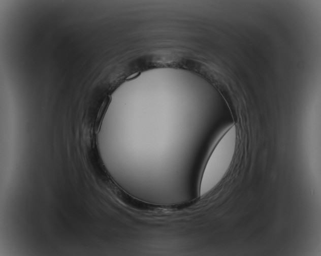 X0000086010227200703230918