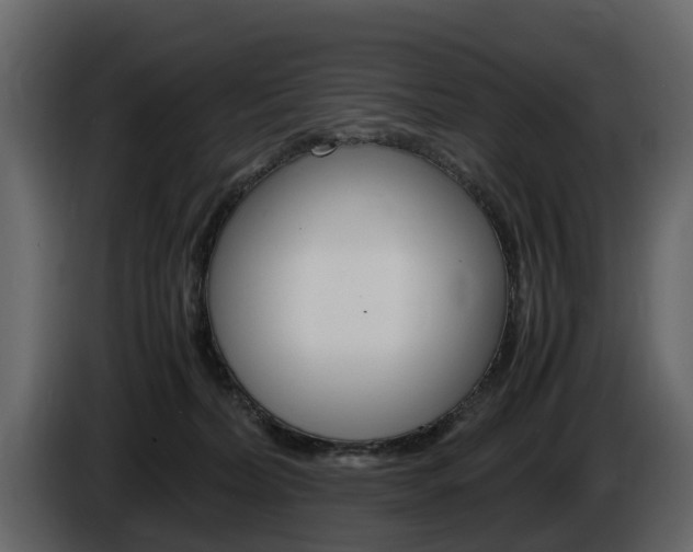 X0000086010228200703230918