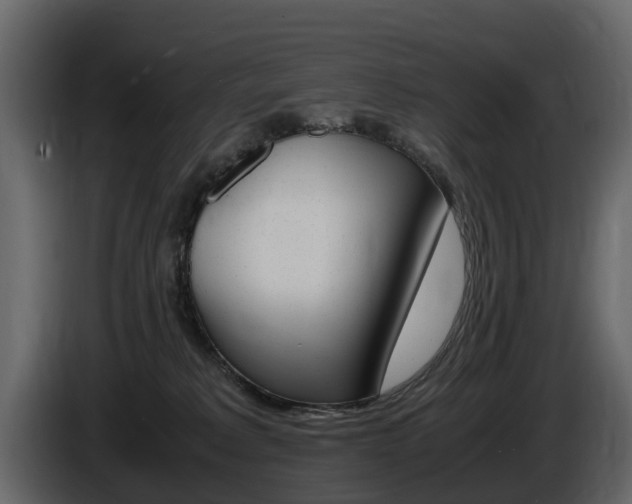 X0000086010229200703230918
