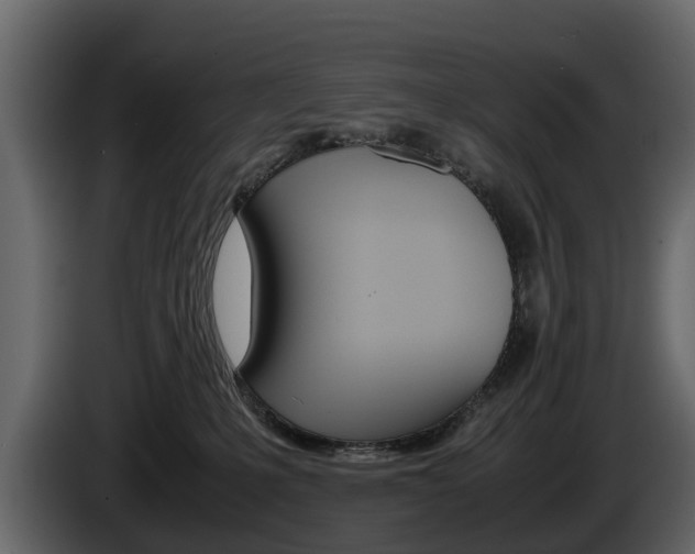 X0000086010231200703230918