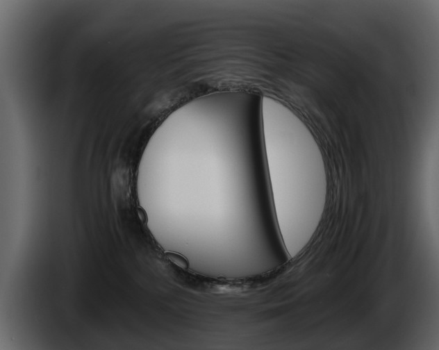 X0000086010232200703230918