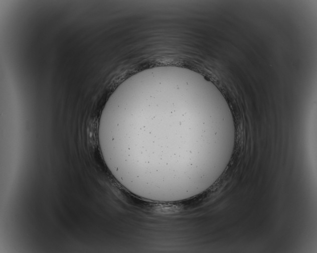 X0000086010234200703230917