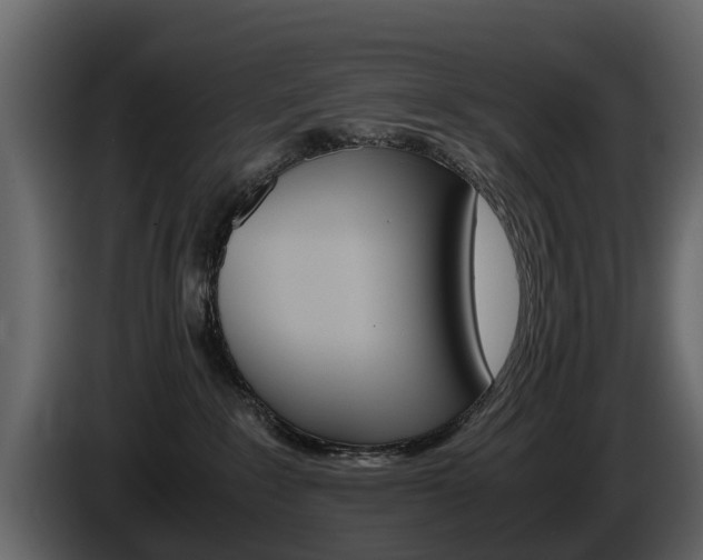 X0000086010235200703230917