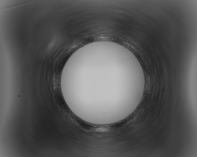 X0000086010236200703230917
