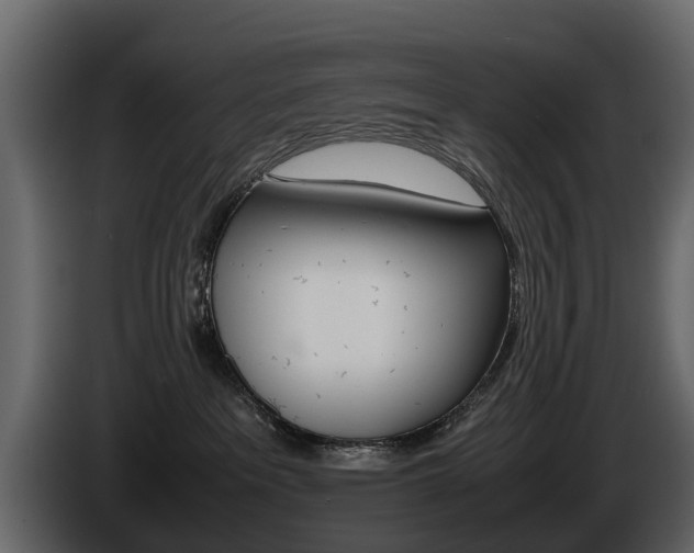 X0000086010237200703230917