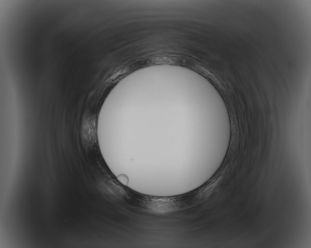 X0000086010240200703230917