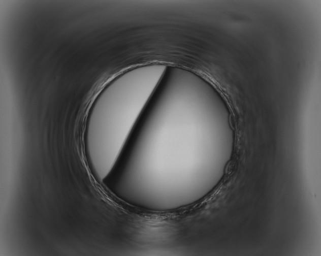 X0000086010241200703230917