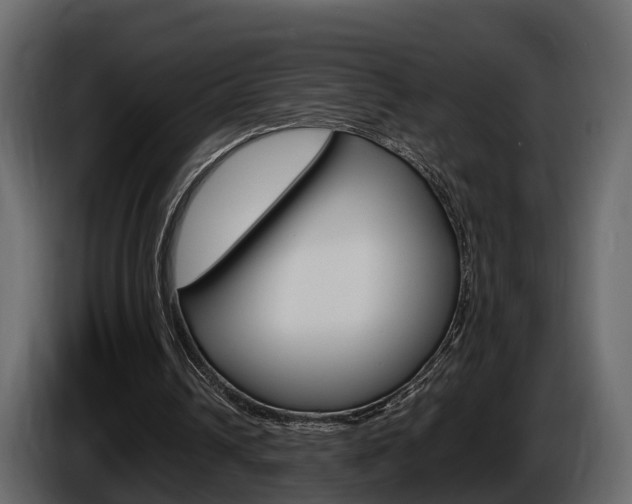 X0000086010242200703230917