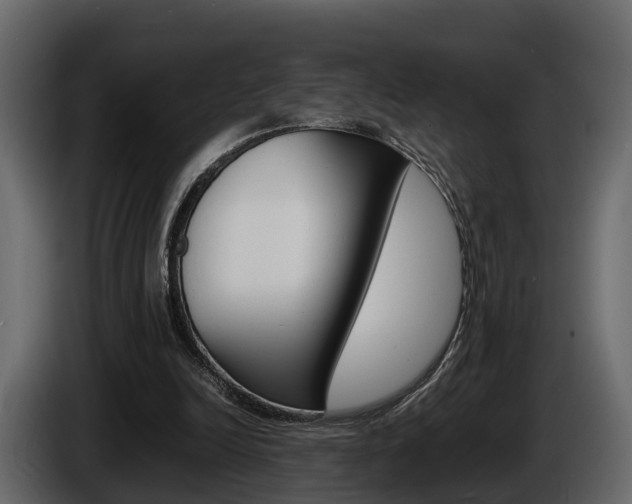 X0000086010246200703230917