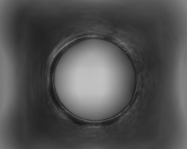 X0000086010247200703230917