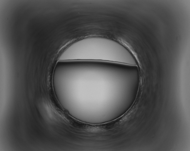 X0000086010249200703230917