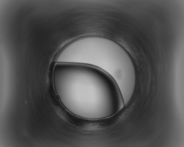 X0000086010252200703230917