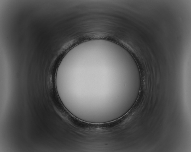 X0000086010254200703230917