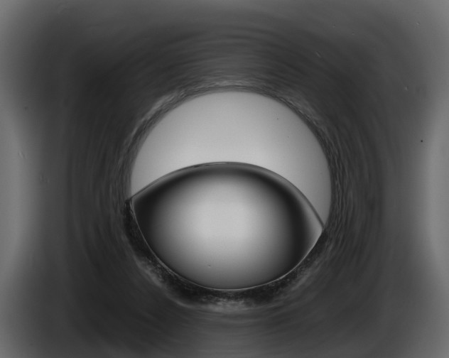 X0000086010256200703230917