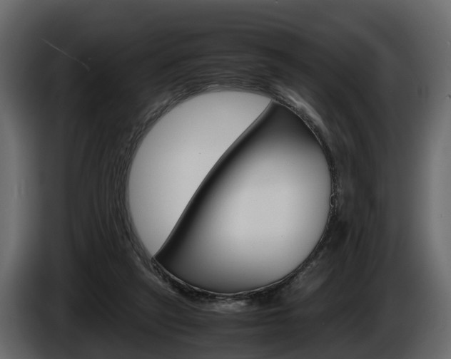 X0000086010257200703230917
