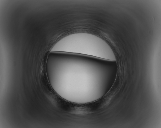X0000086010259200703230917