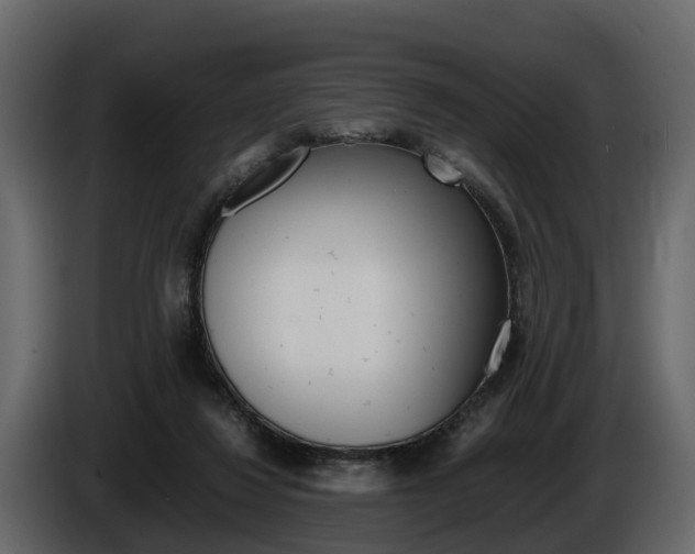 X0000086010260200703230917
