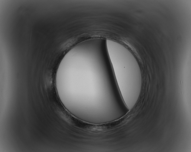 X0000086010261200703230917